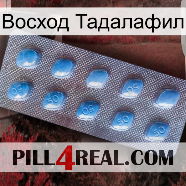 Восход Тадалафил viagra3.jpg